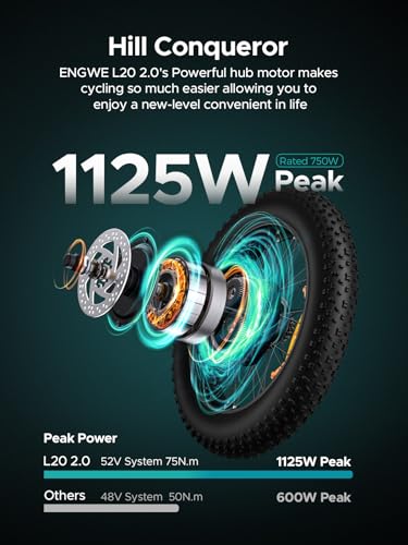 Electric Bike for Adults, 20" Fat Tire, 52V 13Ah Removable Battery, 7-Speed G730260