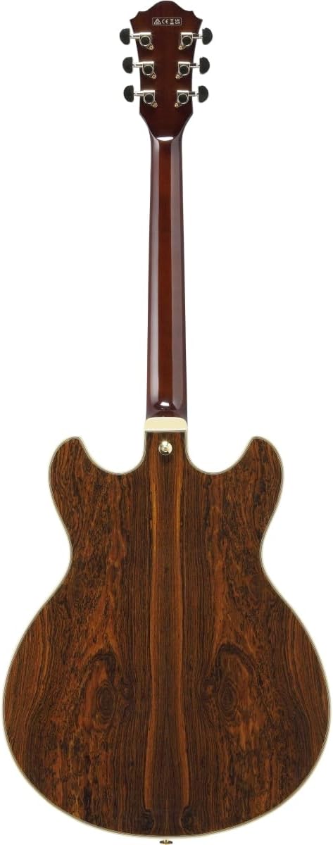 Semi-hollowbody Electric Guitar - Black C949