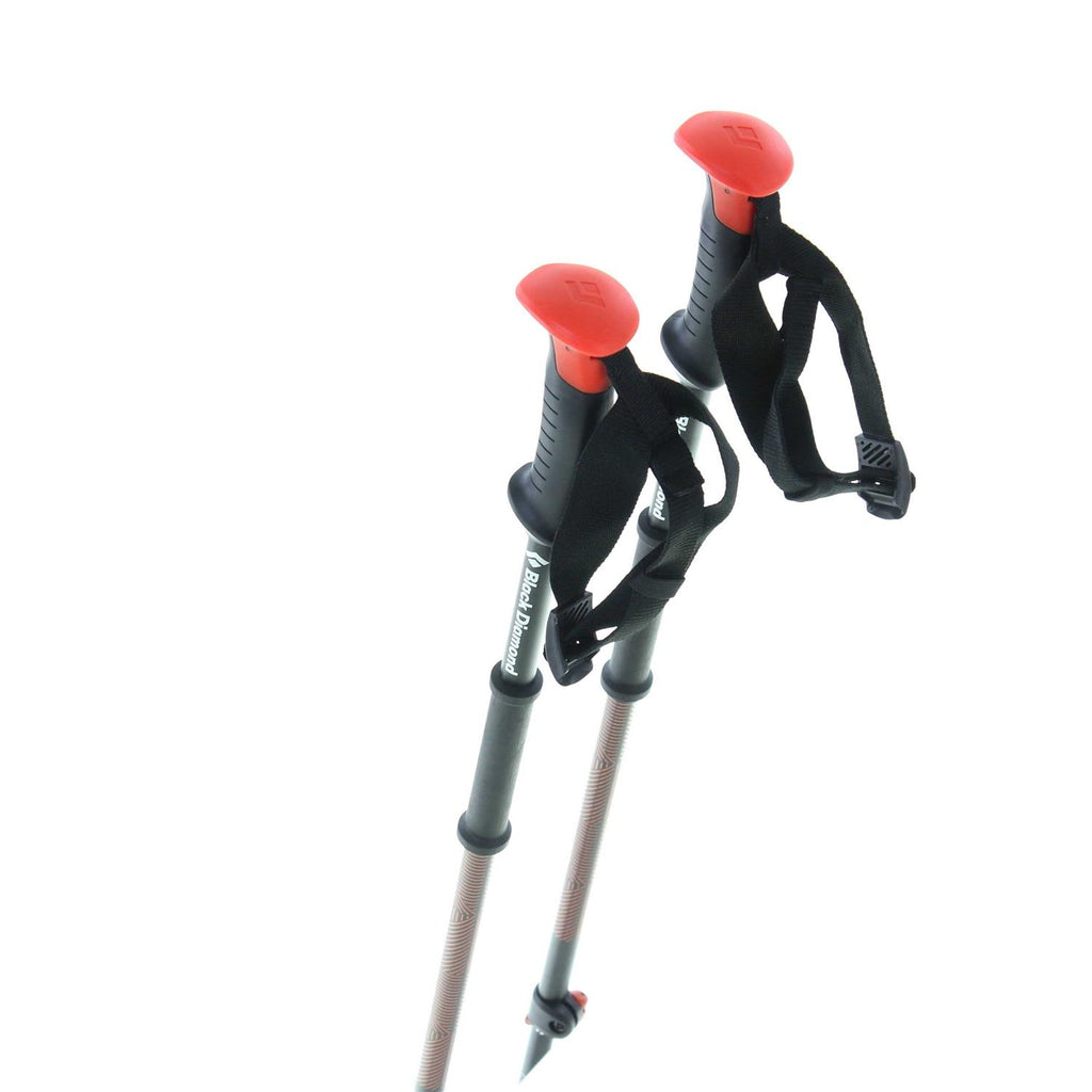Traverse Ski Poles P2753