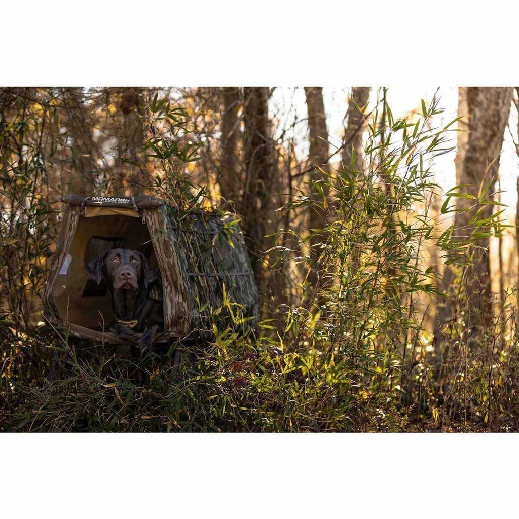 Dog Blind J177237