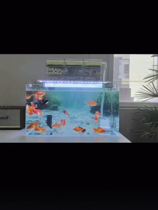 3D Aquarium Background Sticker, Pre-Cut, Reusable Adhesive, Underwater Scene with Sunlight Effect, Fish Tank Decor Z5707
