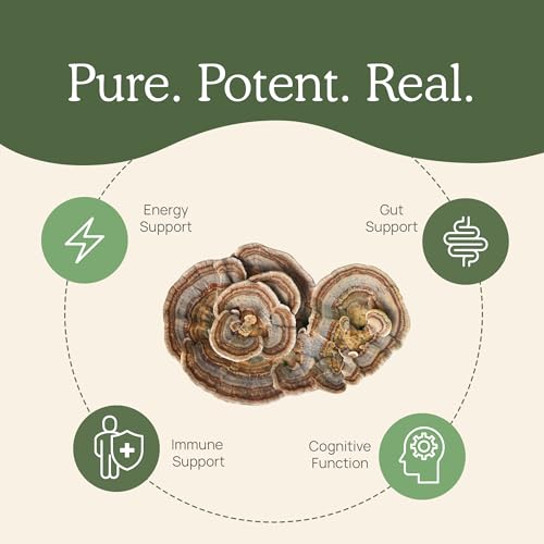 Turkey Tail Mushroom Powder Organic Supplement for Gut, Energy, Brain, and Immune Support J128