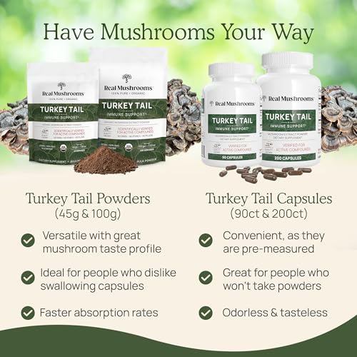 Turkey Tail Mushroom Powder Organic Supplement for Gut, Energy, Brain, and Immune Support J128