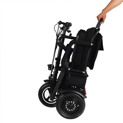 Folding Electric Mobility Scooter 700W Dual Motor E7958
