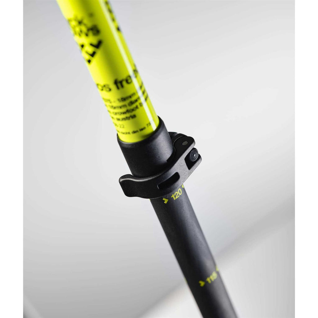 Ski Poles T33387