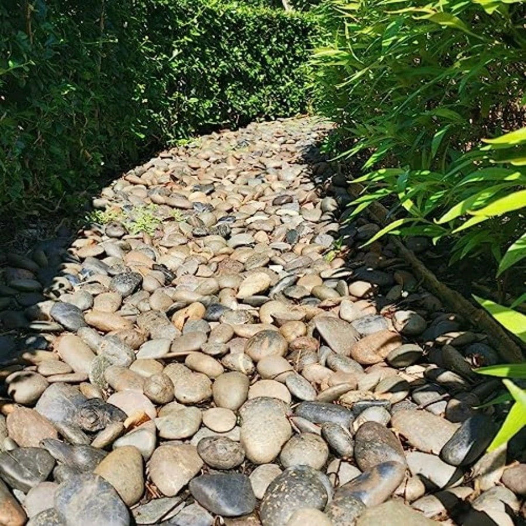 Natural River Rocks 3-4 Inch for Garden, Landscape, Fish Tank P309220