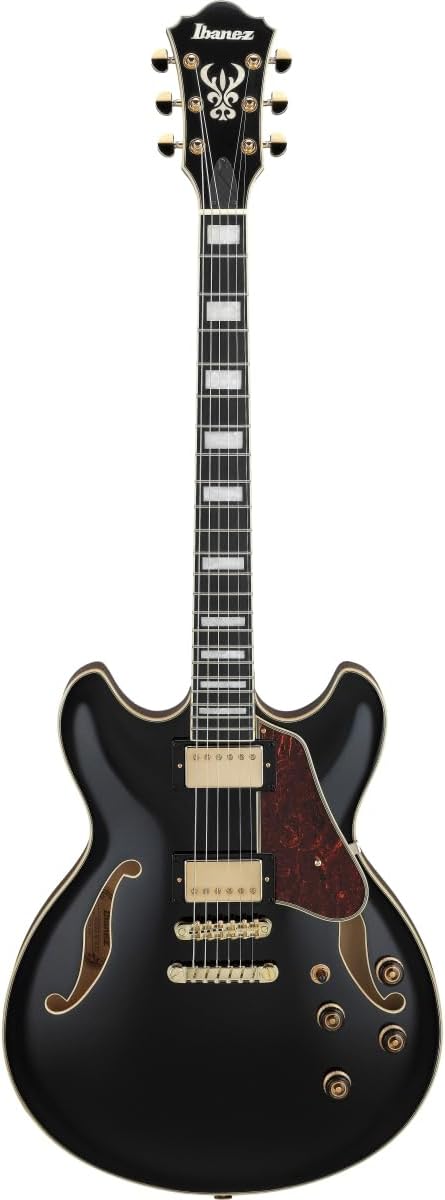 Semi-hollowbody Electric Guitar - Black C949