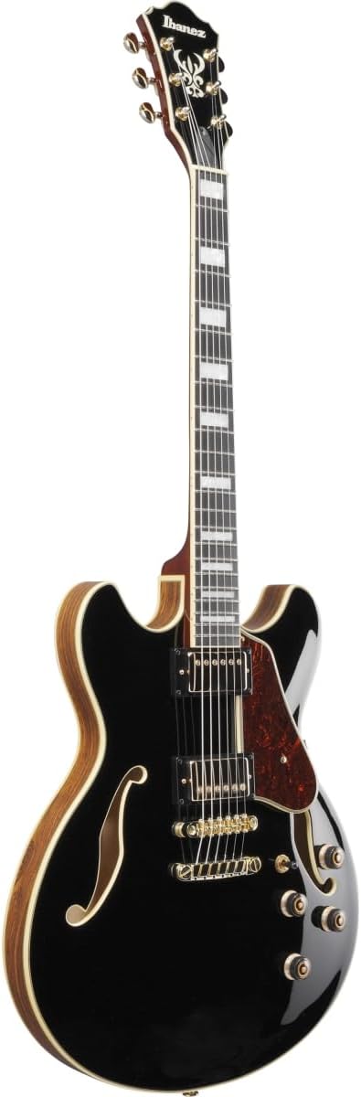Semi-hollowbody Electric Guitar - Black C949