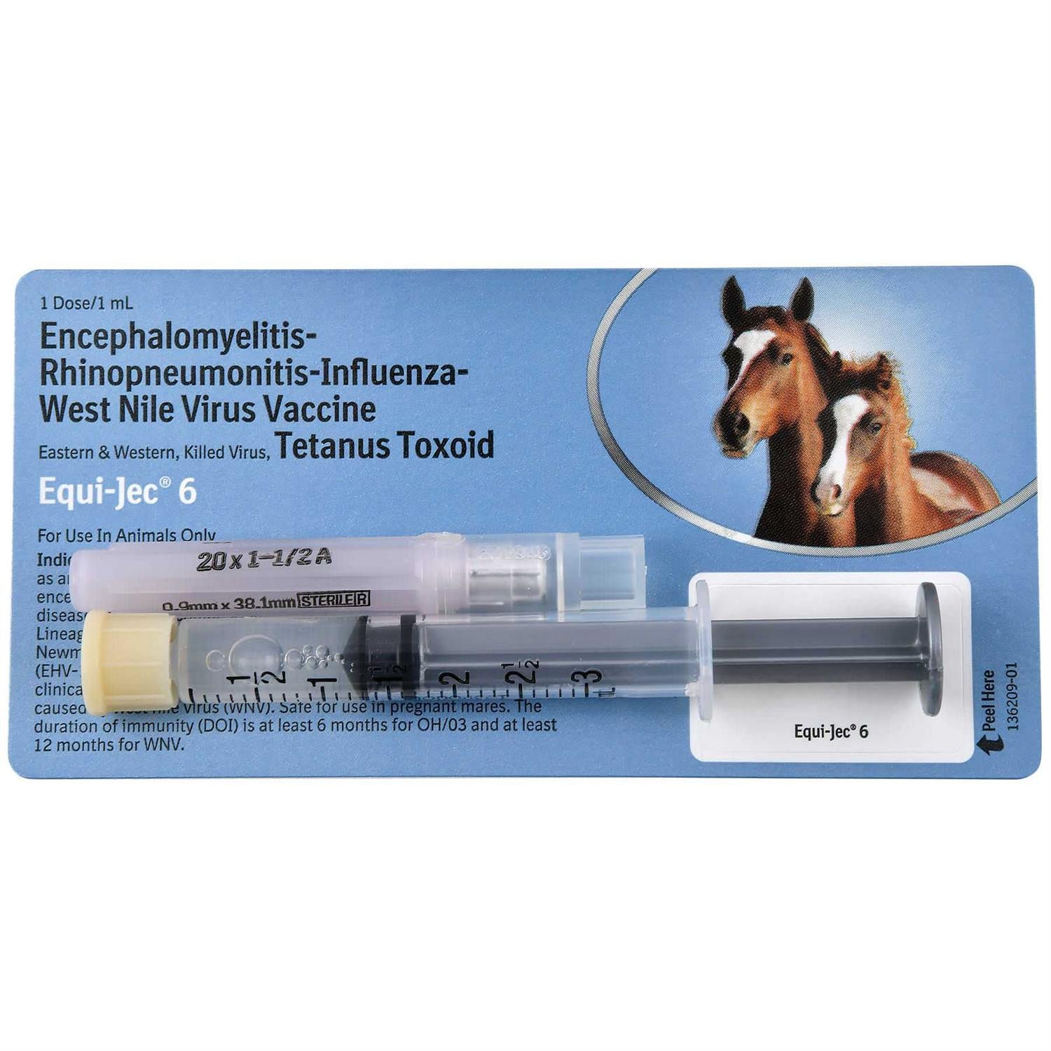 Equine Vaccine Y242912
