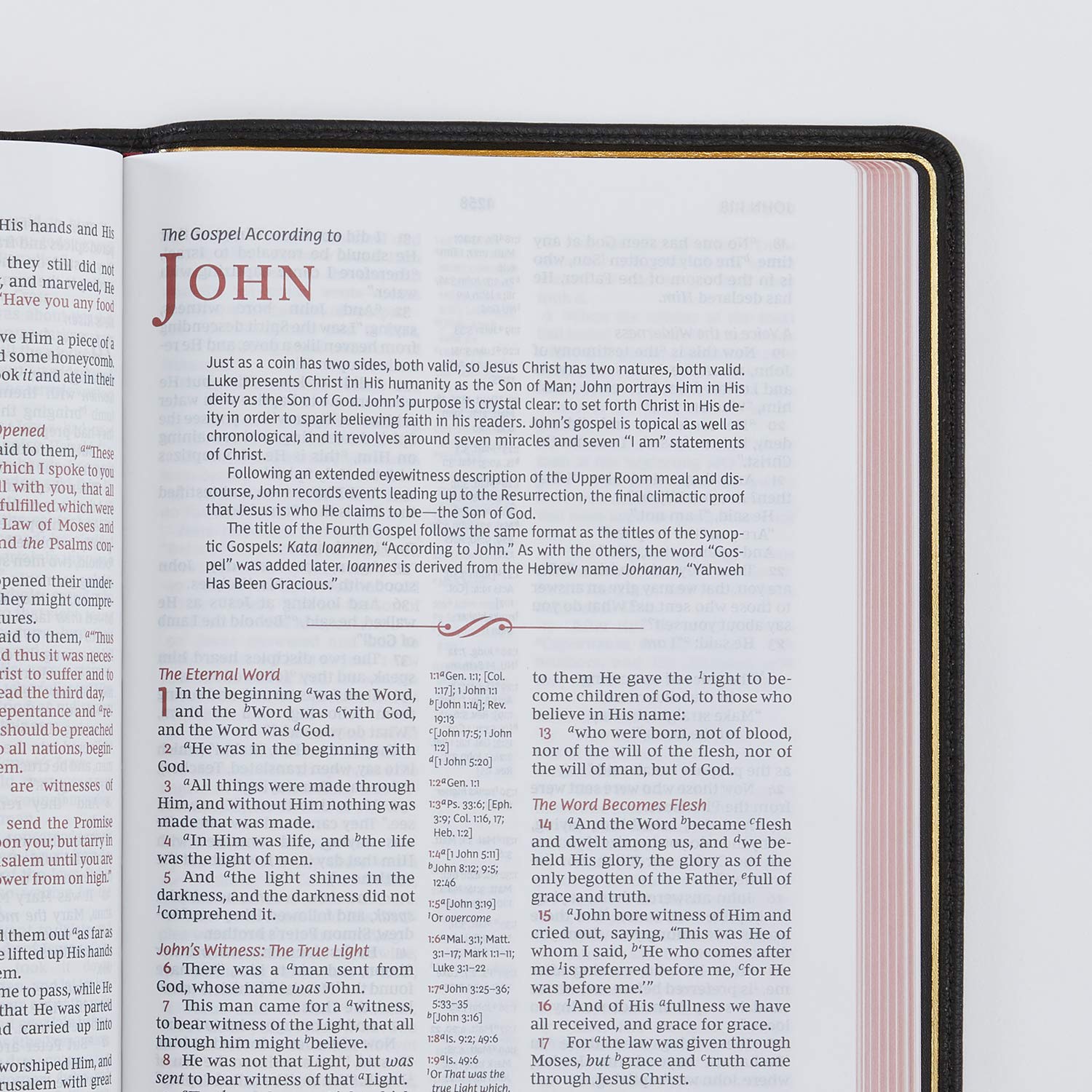 Reference Bible, Center-Column, Premium Goatskin Leather, Black, Red Letter Q11760