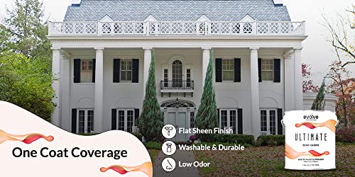 Interior & Exterior Paint and Primer in White, Flat Sheen, 1 Gallon W9951
