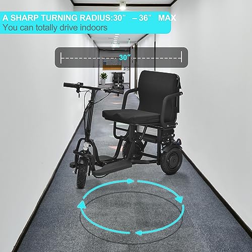 Folding Electric Mobility Scooter 700W Dual Motor E7958