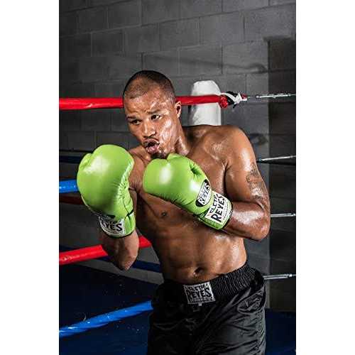 Boxing Gloves O955