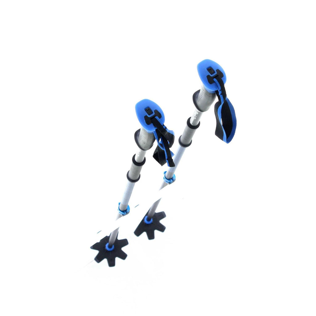 Ski Poles Z803464