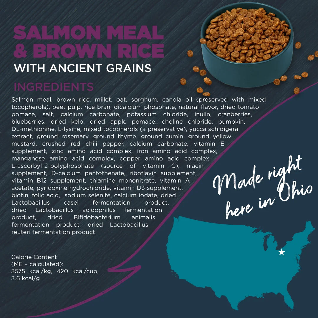 Dry Dog Food Sensitive Skin & Stomach Salmon Meal with Ancient Grains 10 lb. I2755