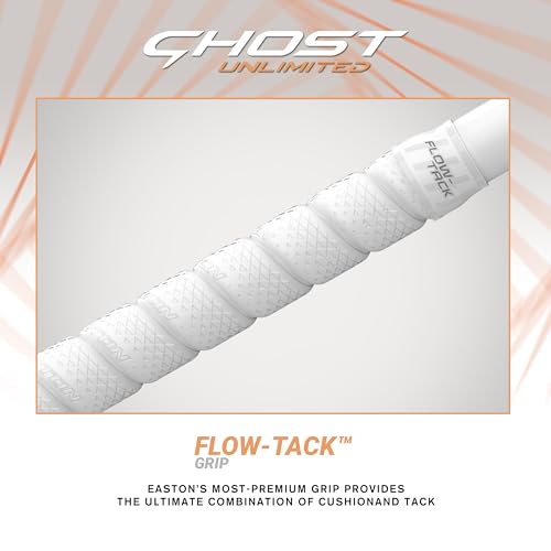 Fastpitch Softball Bat - Approved for All Fields R19724