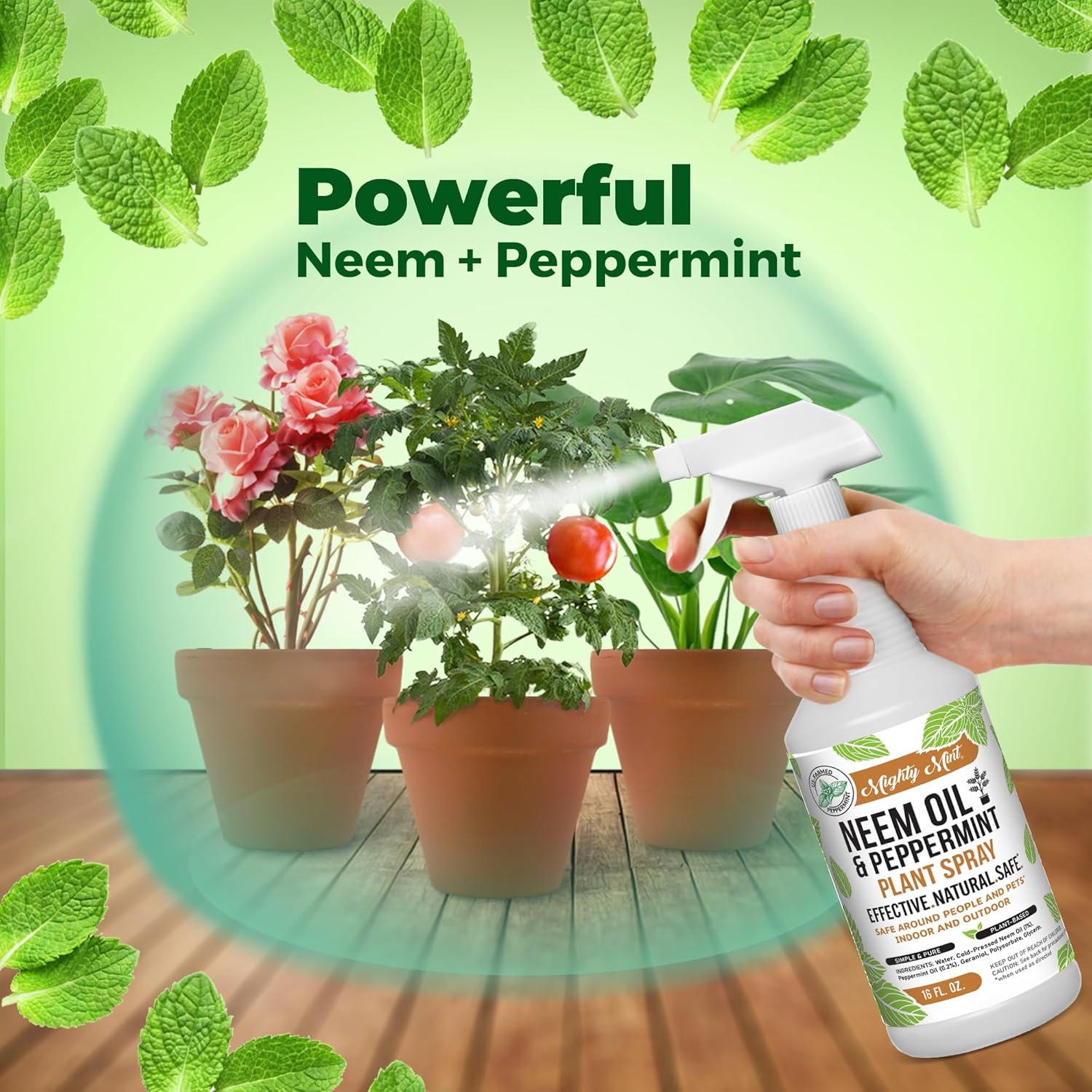 Neem Oil & Peppermint Plant Spray, 16oz X845