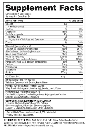 Intra-Workout Amino Acid & Creatine Formula, Muscle Recovery, 3.59 Pound N717