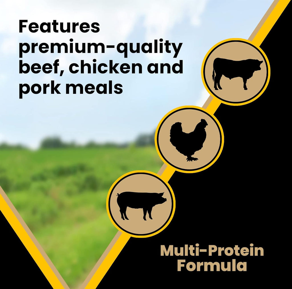 Multi-Pro Dry Dog Food with Beef, Chicken and Pork, Gluten Free, 50 lb H413