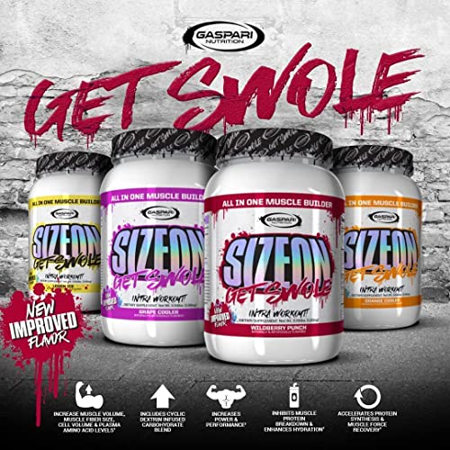 Intra-Workout Amino Acid & Creatine Formula, Muscle Recovery, 3.59 Pound N717