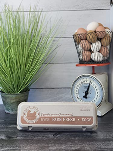 12-Egg Flat Top Paper Pulp Egg Carton - 50 Pack L75788
