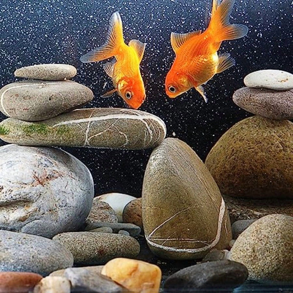 Natural River Rocks 3-4 Inch for Garden, Landscape, Fish Tank P309220