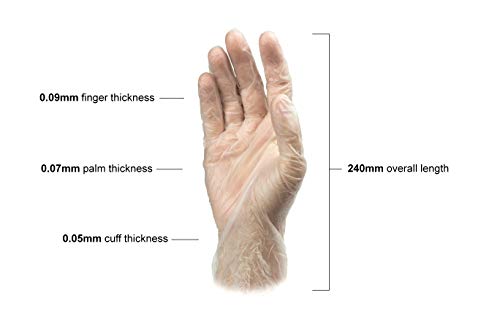 Clear Vinyl Exam Gloves, Latex-Free, Extra-Large, 1000-Pack T36664