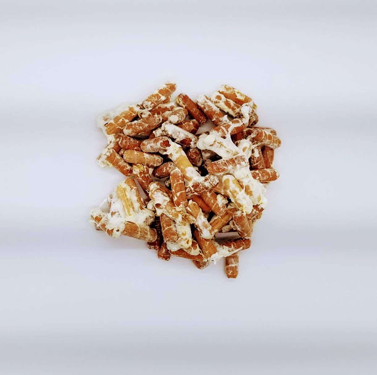 Lion's Mane Mushroom Spawn Plugs for Gourmet and Medicinal Growing Q7637