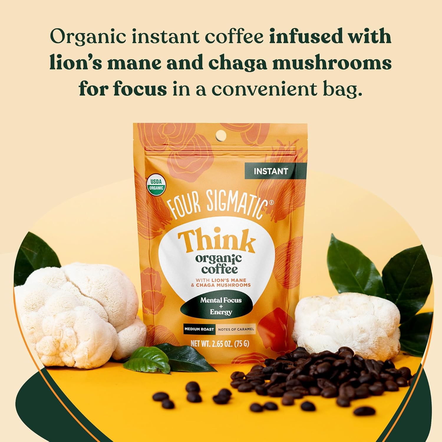 Organic Mushroom Coffee with Lion's Mane and Chaga, Instant Mix, 30 Servings R41635