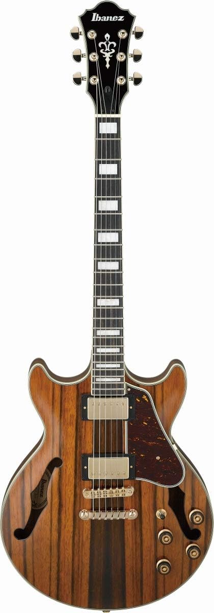 Semi-Hollow Body Electric Guitar with Macassar Ebony Z7455