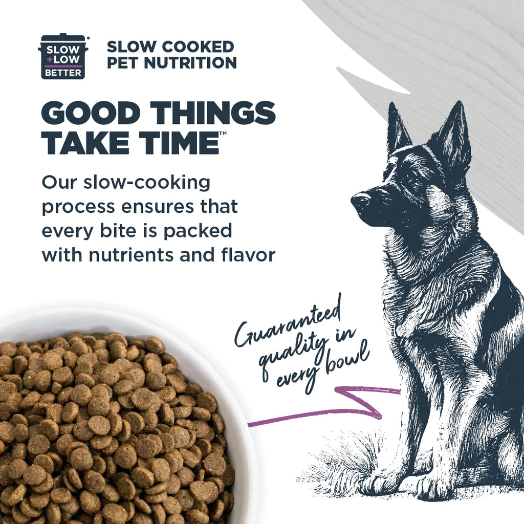 Dry Dog Food Sensitive Skin & Stomach Salmon Meal with Ancient Grains 10 lb. I2755