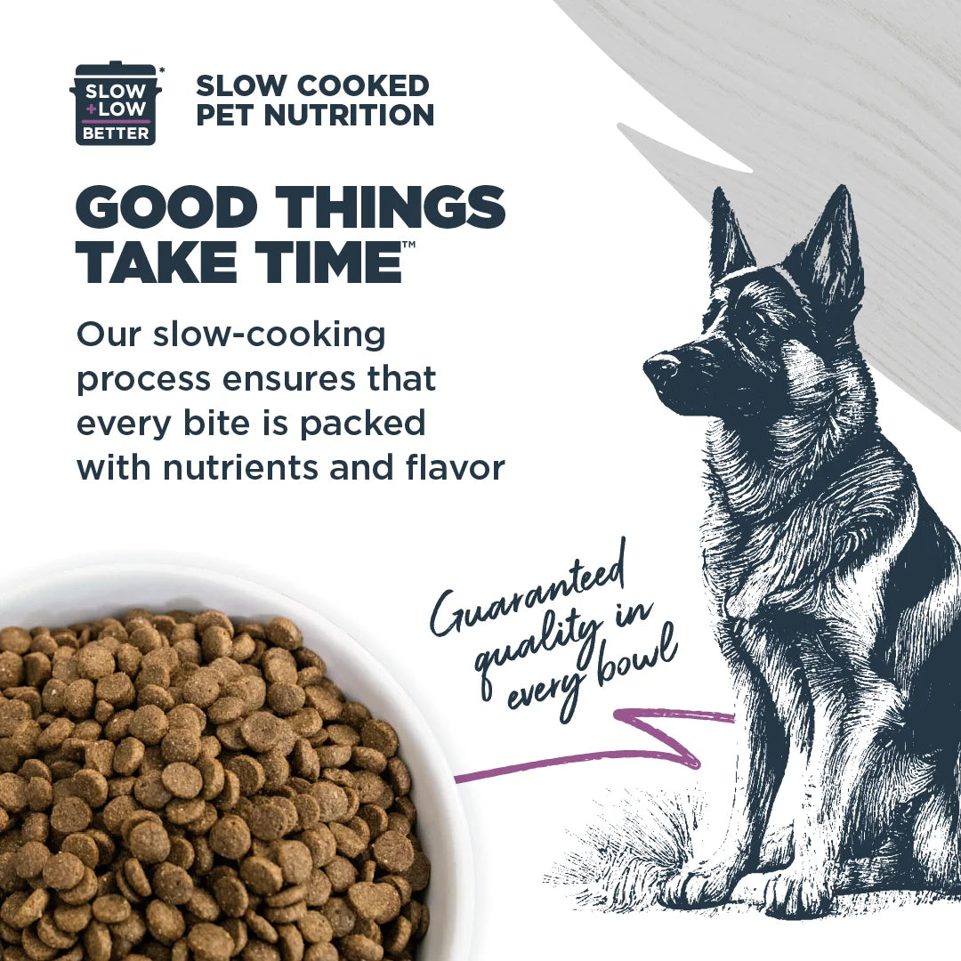 Dry Dog Food Sensitive Skin & Stomach Salmon Meal with Ancient Grains 10 lb. I2755