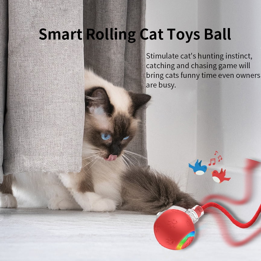 Interactive Cat Toy with Motion-Activated Rolling Ball and Chirping Sounds K939019