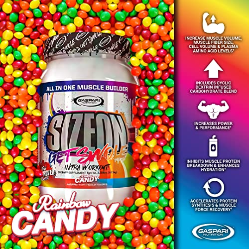Intra-Workout Amino Acid & Creatine Formula, Muscle Recovery, 3.59 Pound N717