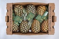 Maui Gold Pineapple
