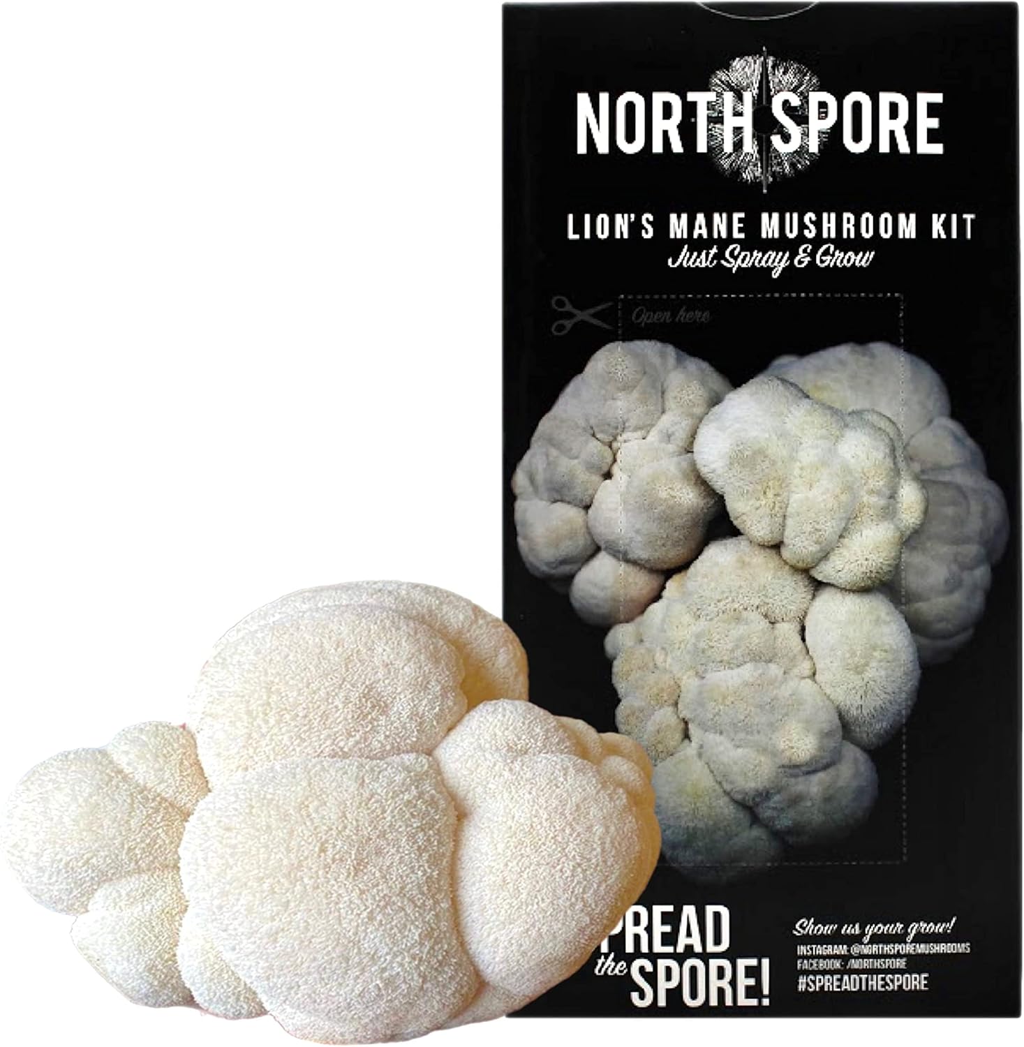 Organic Lion's Mane Mushroom Spray & Grow Kit (4 lbs) X79733