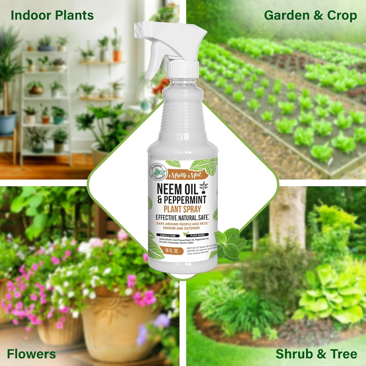 Neem Oil & Peppermint Plant Spray, 16oz X845