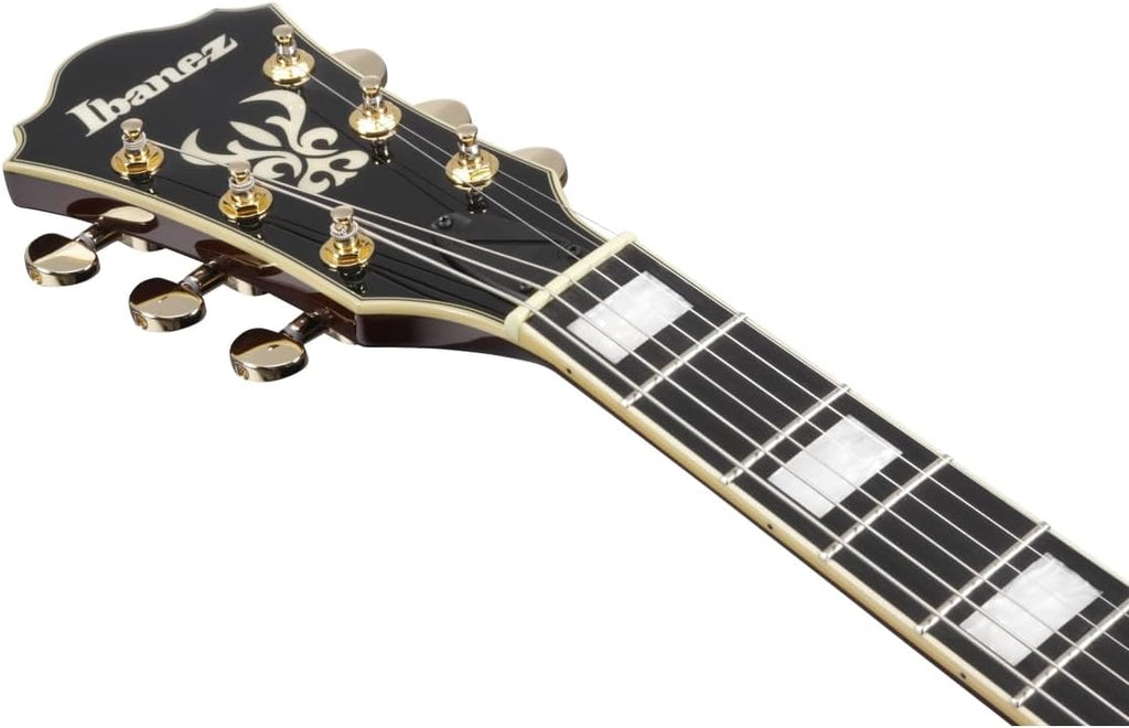 Semi-hollowbody Electric Guitar - Black C949