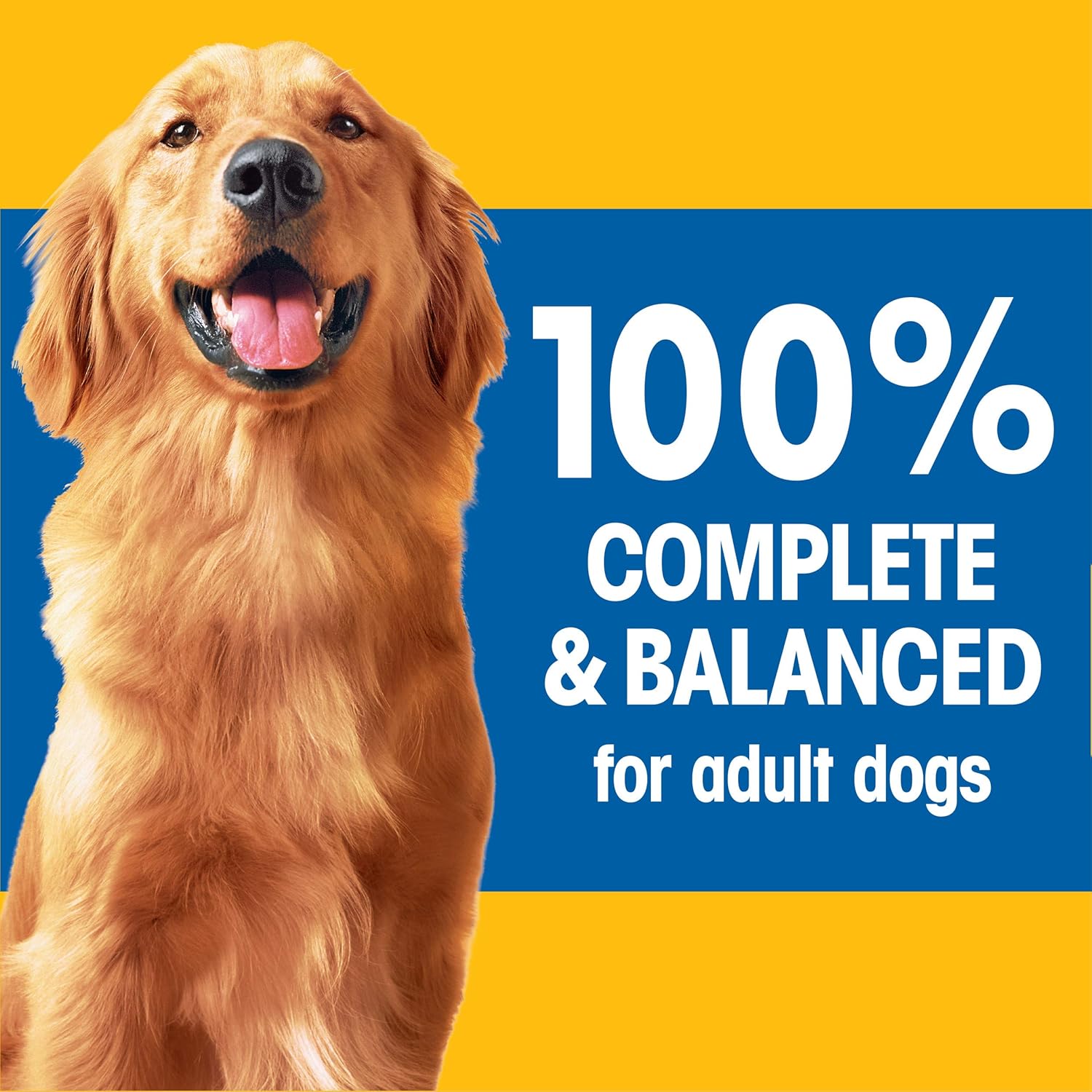 Adult Dry Dog Food Roasted Chicken, Rice & Vegetable Flavor, 36 lb. Bag O8709