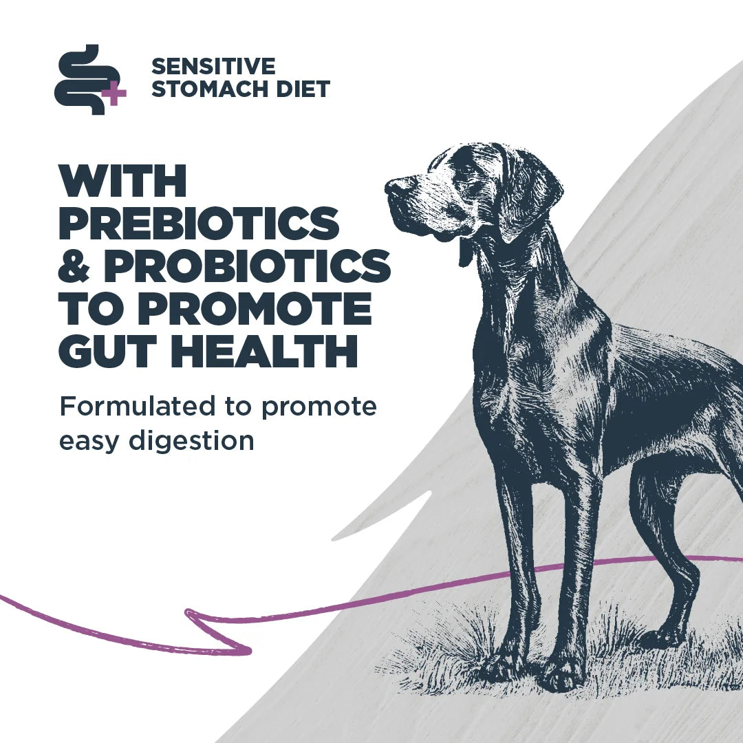Dry Dog Food Sensitive Skin & Stomach Salmon Meal with Ancient Grains 10 lb. I2755