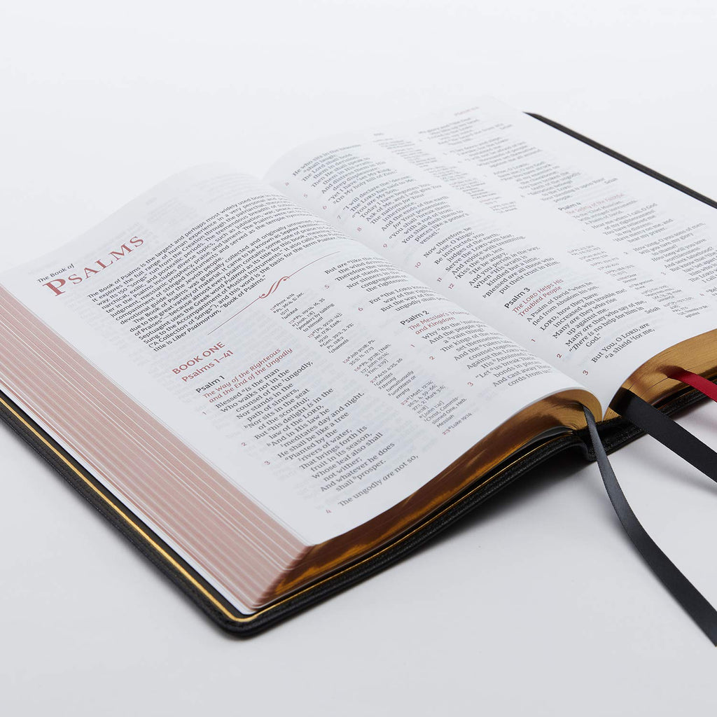 Reference Bible, Center-Column, Premium Goatskin Leather, Black, Red Letter Q11760