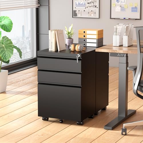 2 Drawer Vertical File Cabinet with Lock for Home Office T51360