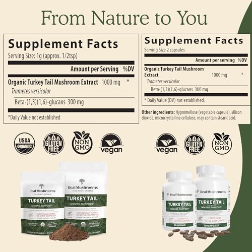 Turkey Tail Mushroom Powder Organic Supplement for Gut, Energy, Brain, and Immune Support J128
