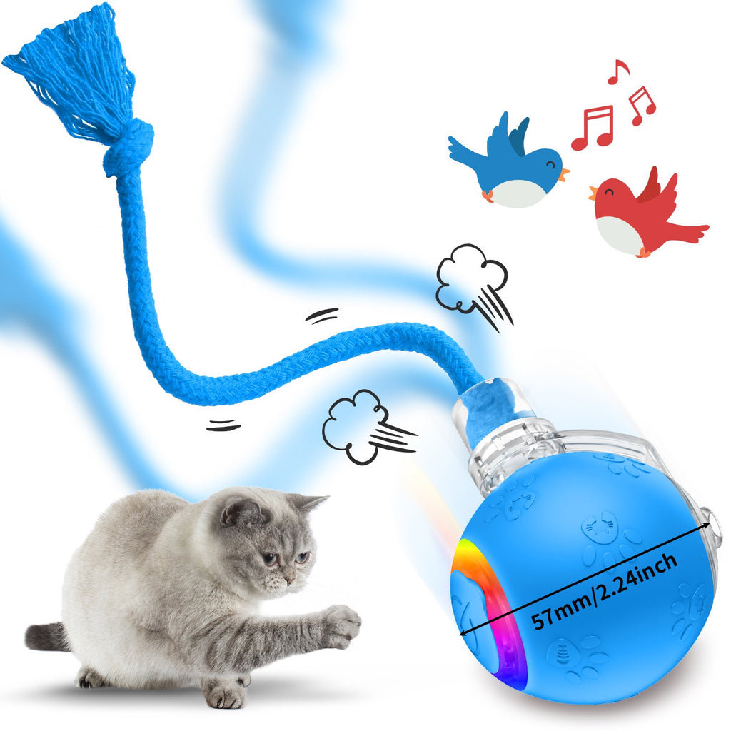 Interactive Cat Toy with Motion-Activated Rolling Ball and Chirping Sounds K939019