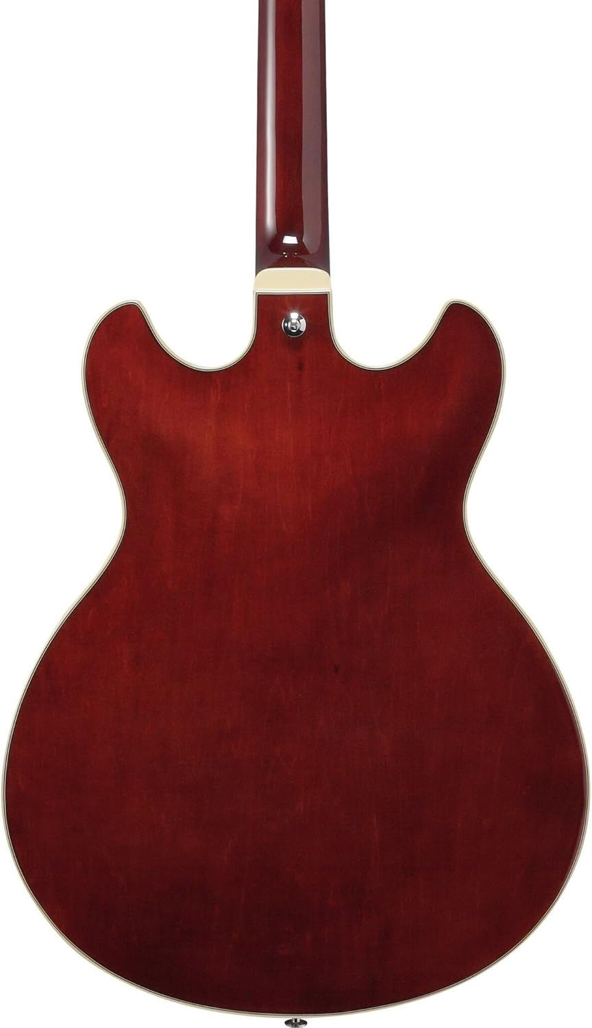 Semi-Hollow Electric Guitar - Transparent Indigo Fade W584850