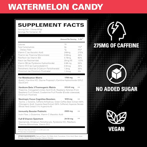 Pre Workout Powder with L Glutamine & Acetyl L Carnitine, 275mg Caffeine, 40 Servings G873241
