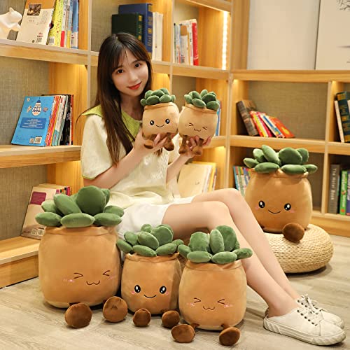 Plant Plush Toy Stuffed Succulents Pillow Decoration X980185