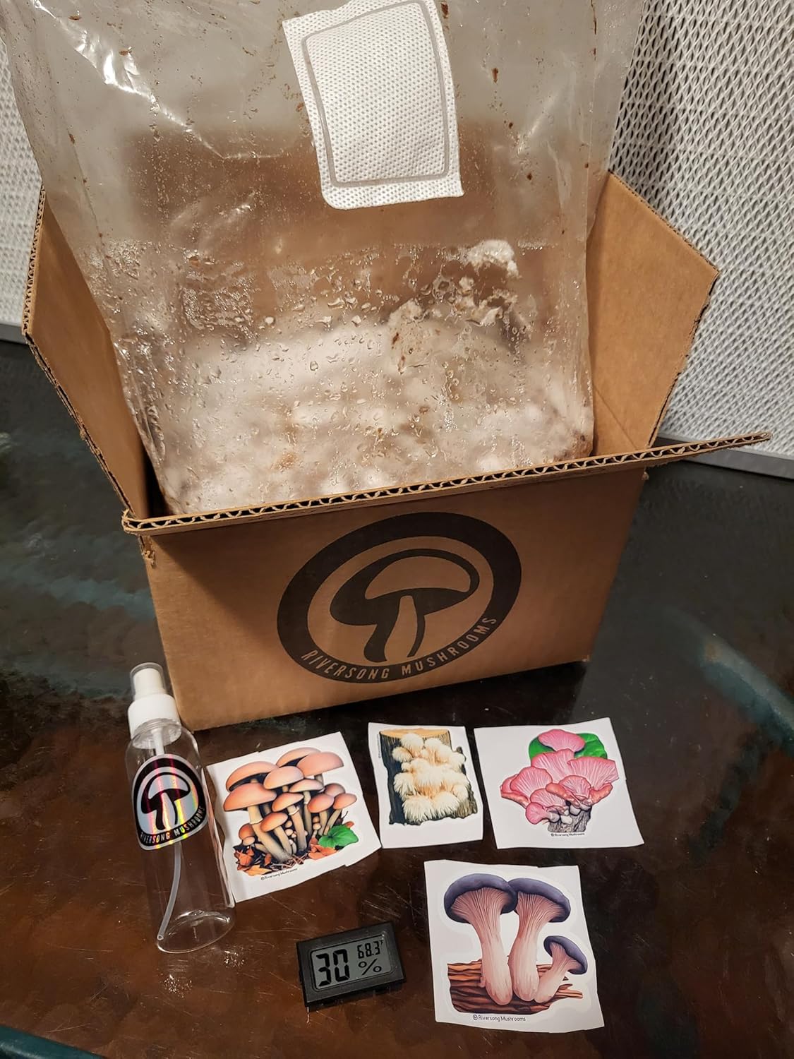 Lion's Mane Mushroom Grow Kit XL, Hardwood & Organic Oats X18930