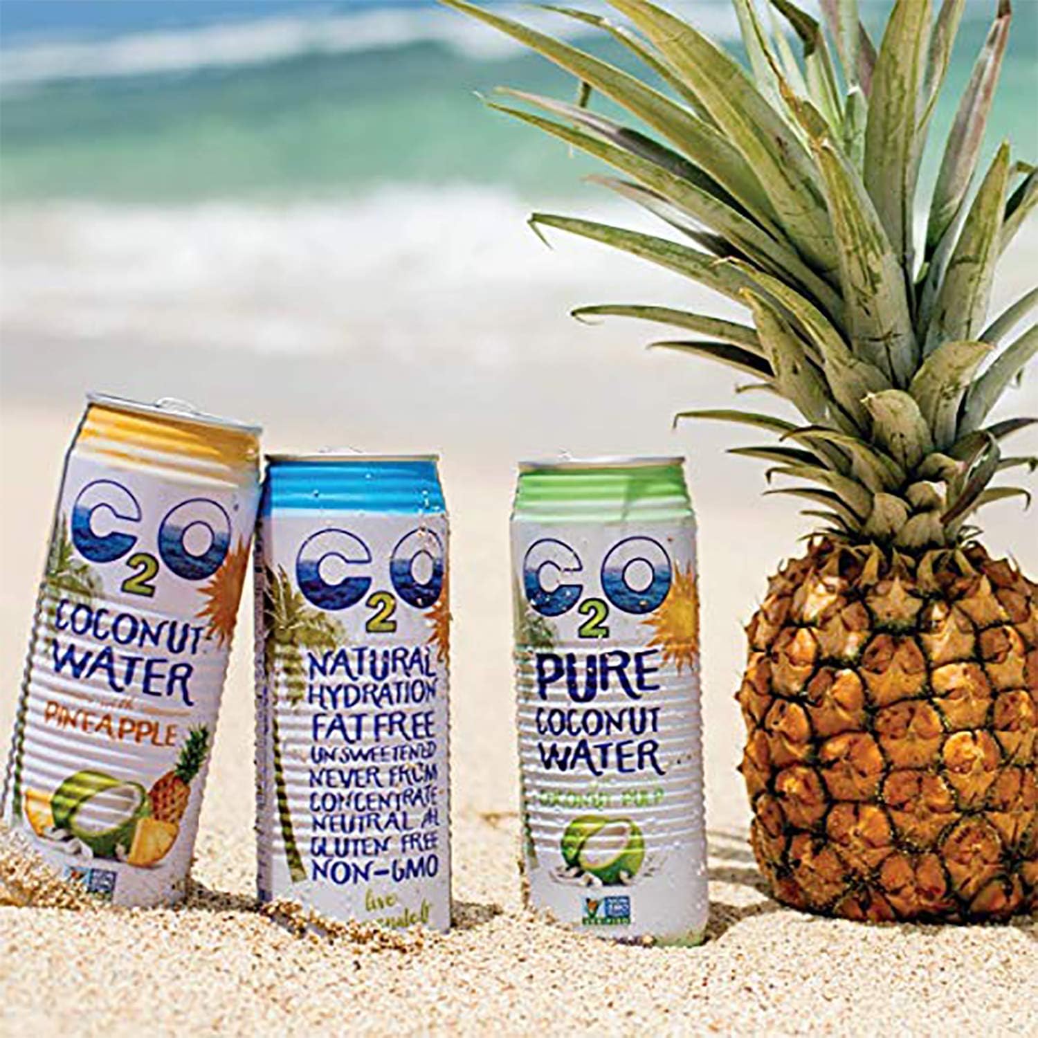 Pure Coconut Water, No Added Sugar, 17.5 FL OZ (Pack of 12) L310