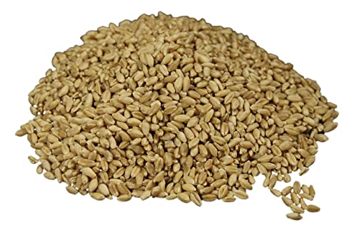 Hard White Wheat Berries 25 lb Bulk, Long Term Food Storage Z517